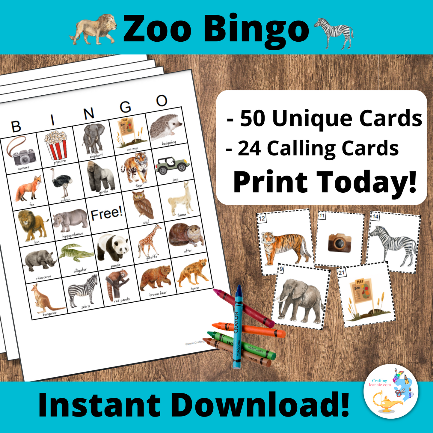 Zoo Bingo