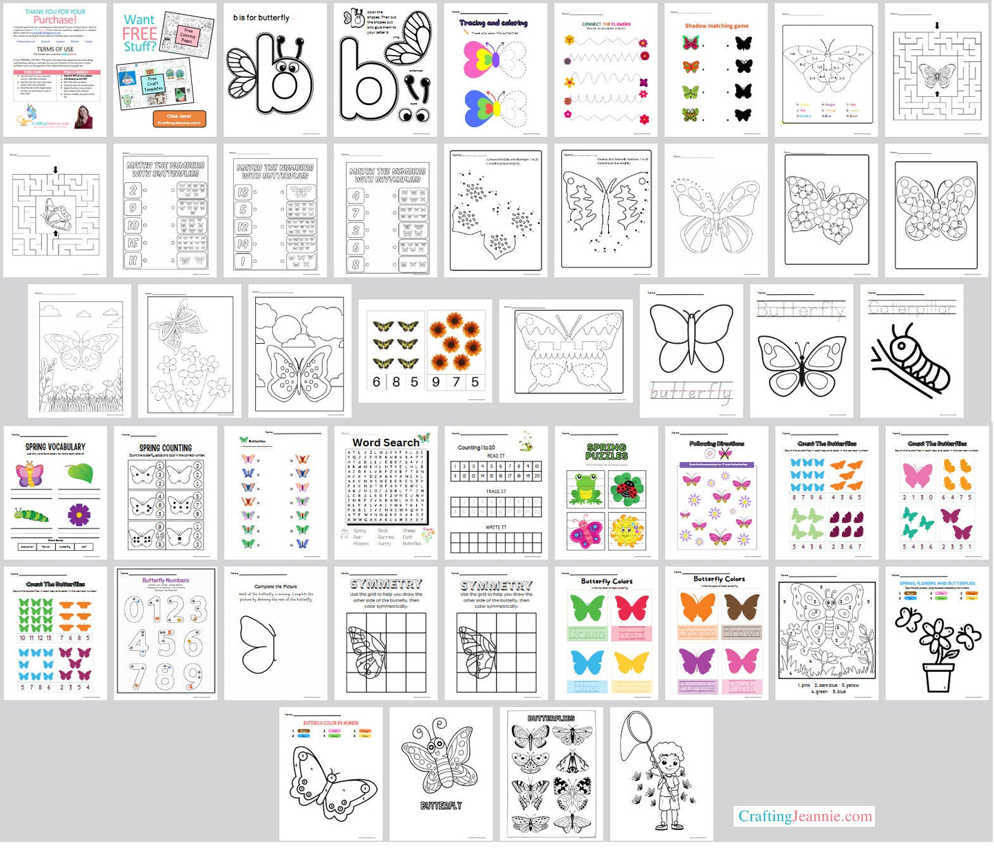 Butterfly Worksheets for kids