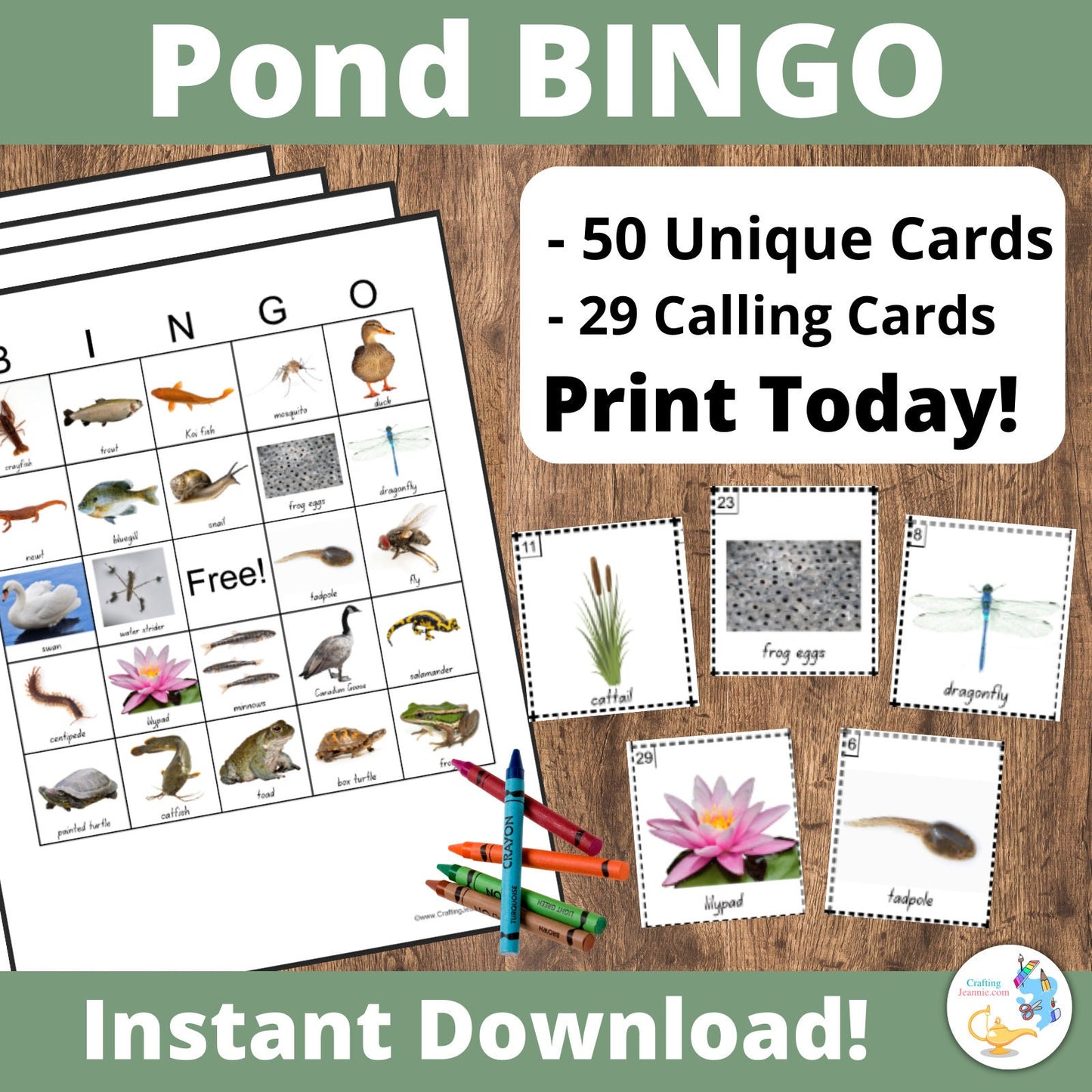 Pond Life BINGO Game for Preschoolers and Toddlers l Ecology Activities for Kids l Biology Games for Children l Science BINGO Game for Kids