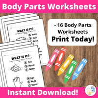 Body Part Worksheets