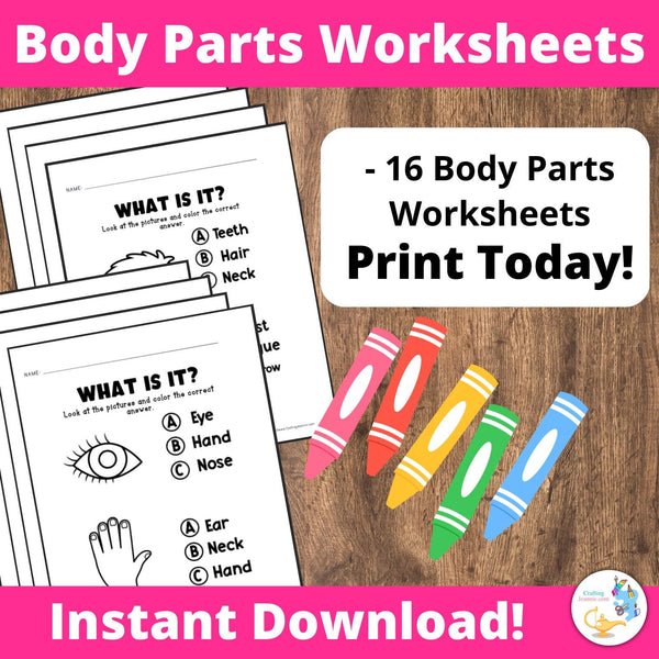 Body Part Worksheets