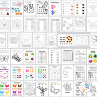 Butterfly Worksheets