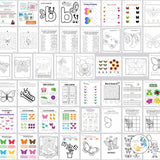 Butterfly Worksheets