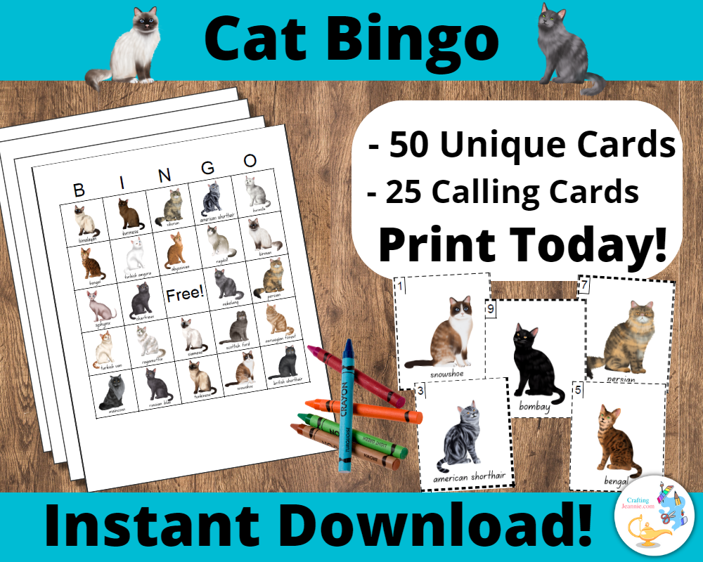 Cat Bingo