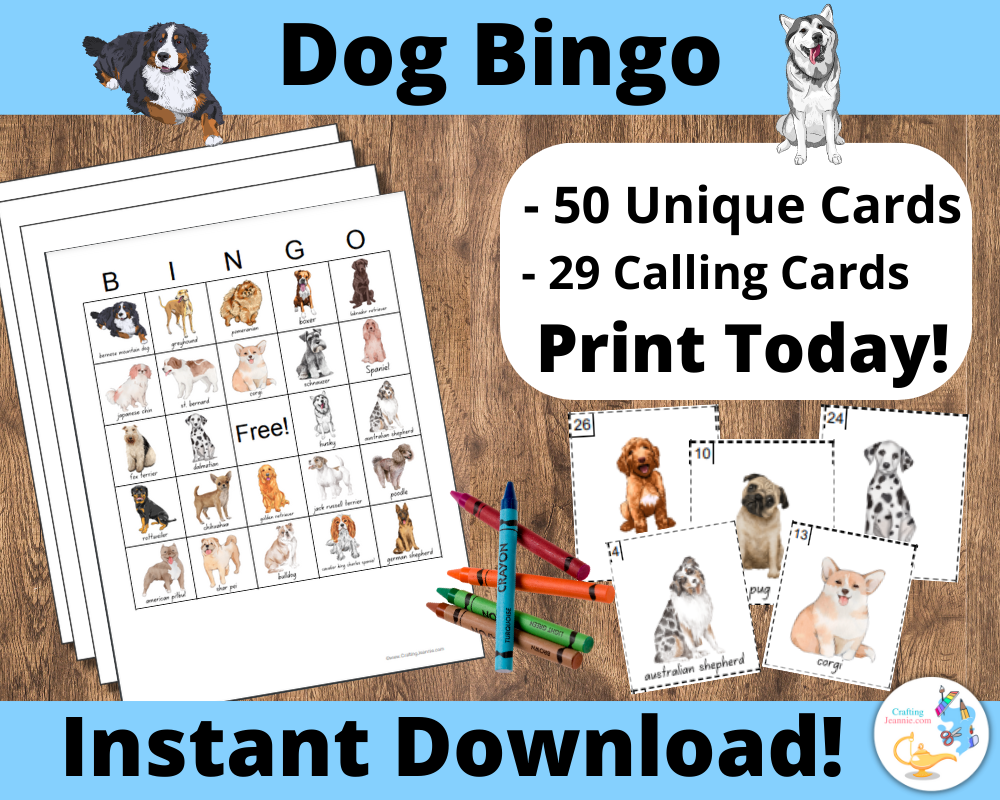 Dog Bingo